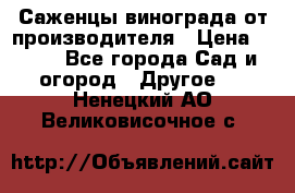 Саженцы винограда от производителя › Цена ­ 800 - Все города Сад и огород » Другое   . Ненецкий АО,Великовисочное с.